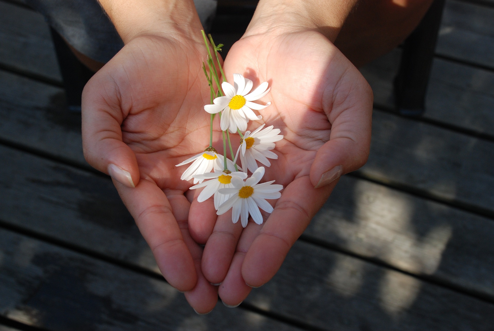 flower